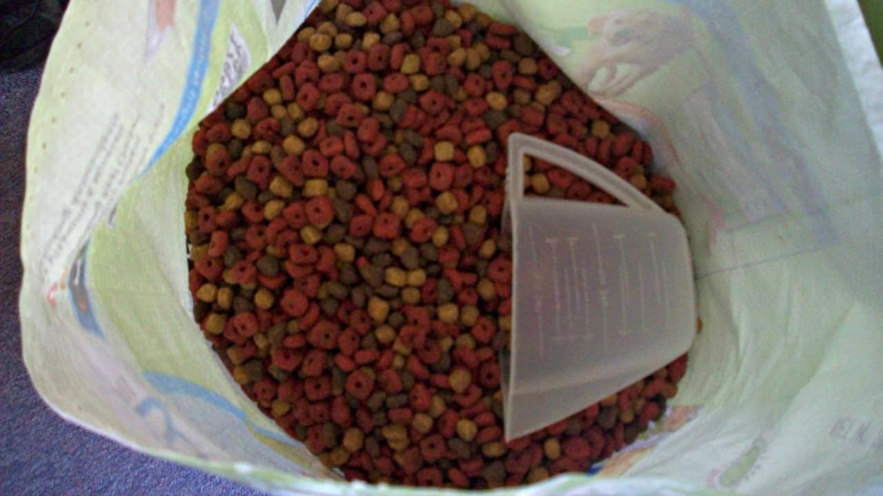 Image Credit: Alisha Vargas - CC BY 2.0/Wiki Commons