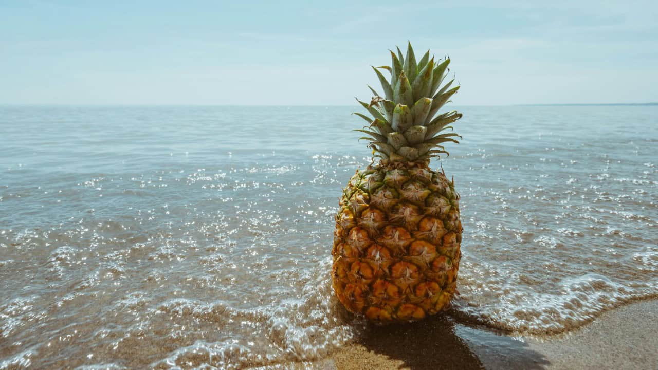Pineapple Supply Co./Pexels