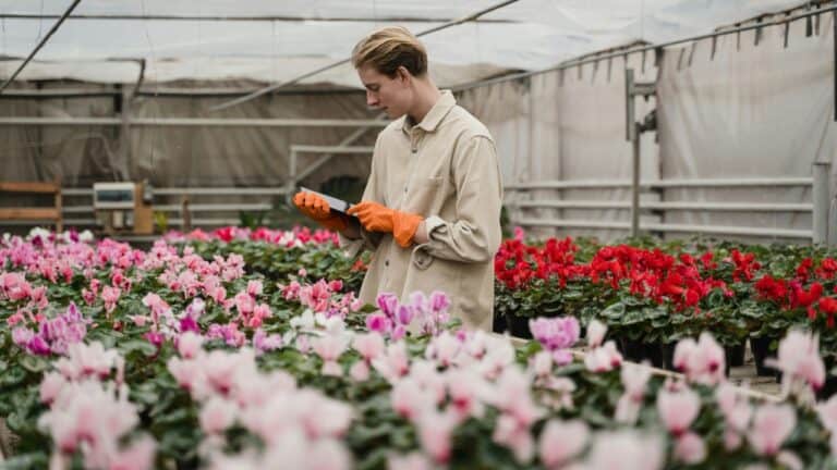 Tima Miroshnichenko/Pexels