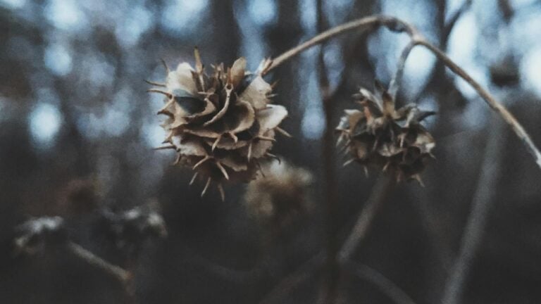 Leigh Heasley/Pexels