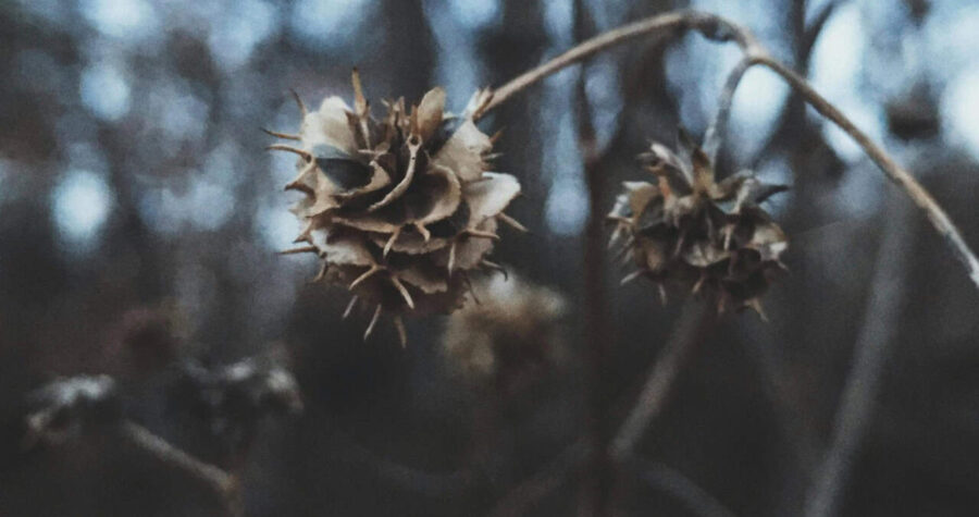 Leigh Heasley/Pexels