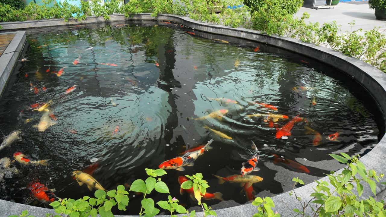 Image Credit: Winslowchen - CC BY-SA 3.0/Wiki Commons