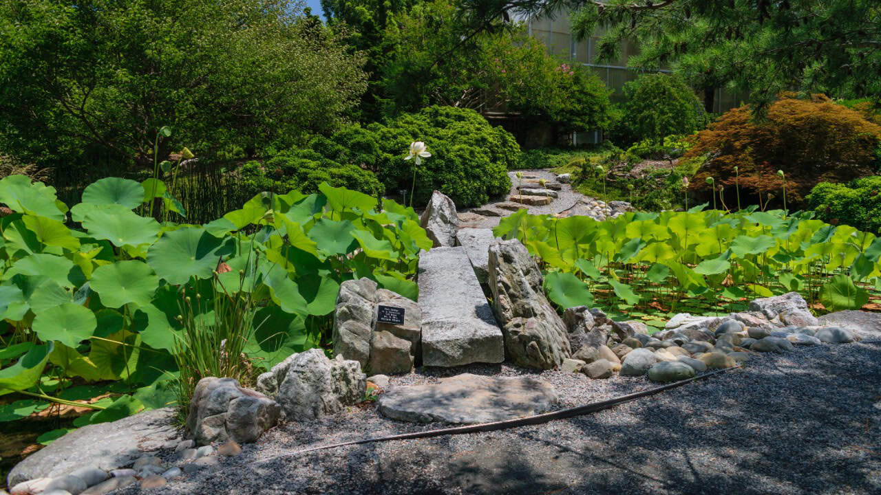 Image Credit: PumpkinSky - CC BY-SA 4.0/Wiki Commons