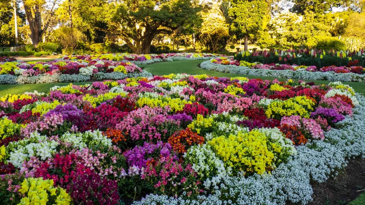 Image Credit: John Robert McPherson - CC BY-SA 4.0/Wiki Commons