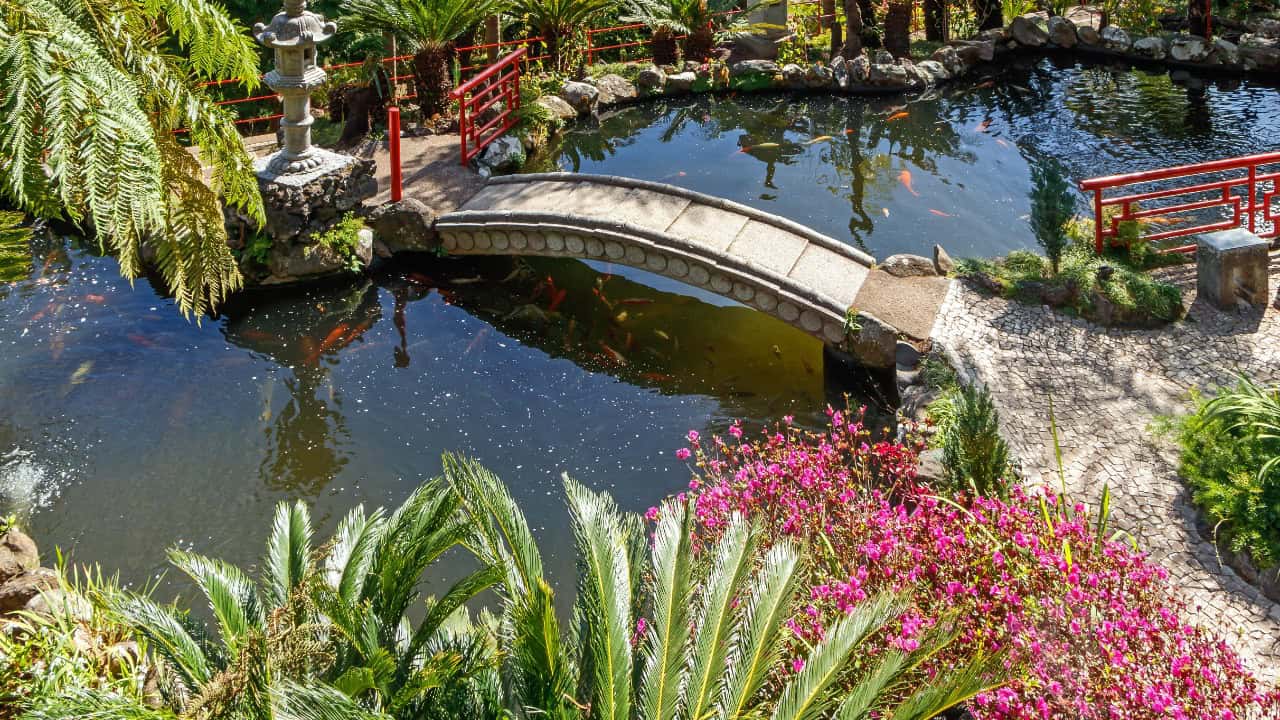 Image Credit: H. Zell - CC BY-SA 3.0/Wiki Commons