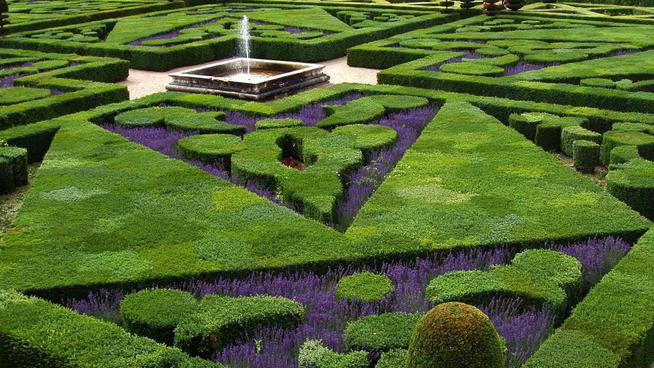 Image Credit: Aernoudts jean - CC BY-SA 3.0/Wiki Commons