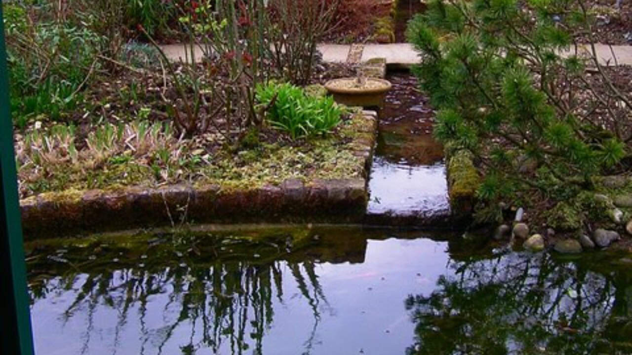 Image Credit: Wesley Trevor Johnston - CC BY-SA 2.0/Wiki Commons