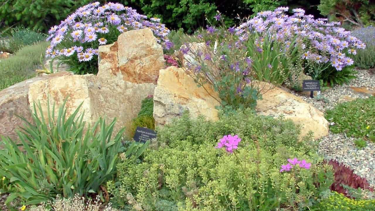 Image Credit: unknown - CC BY-SA 2.5/Wiki Commons