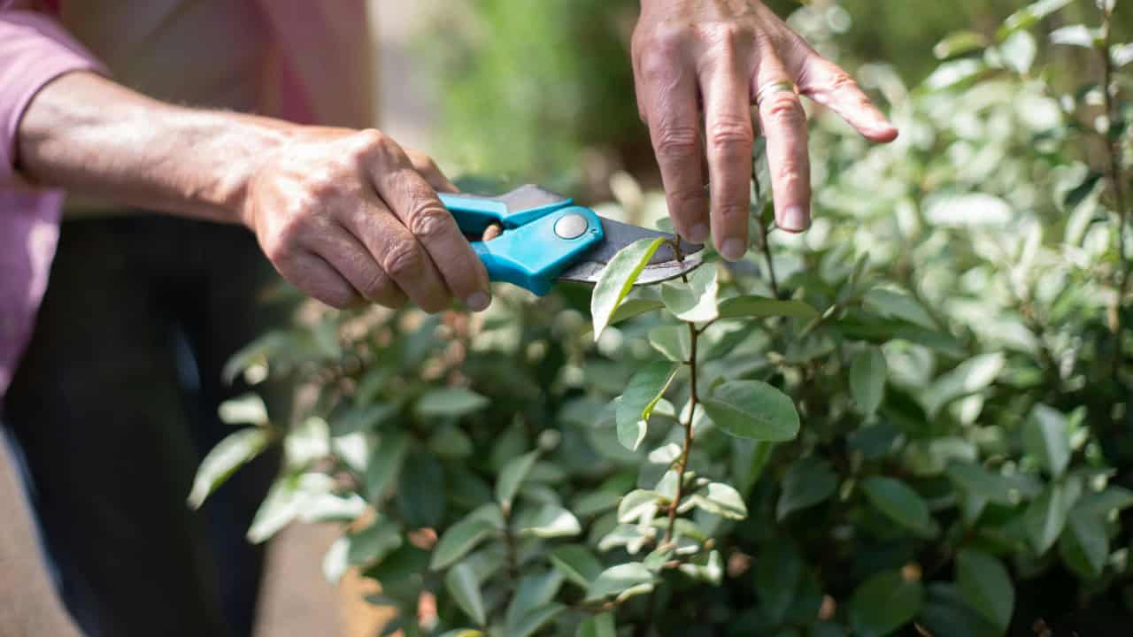 Kampus Production/Pexels