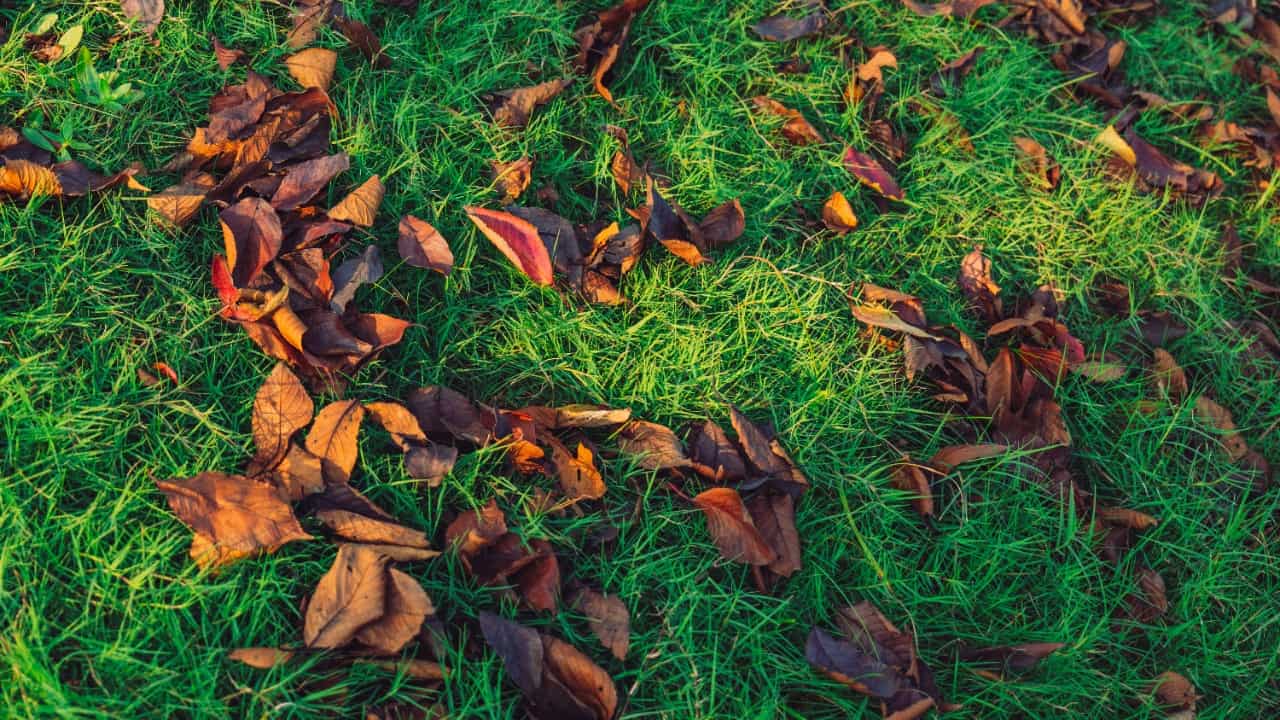 aasing_gwok/Unsplash