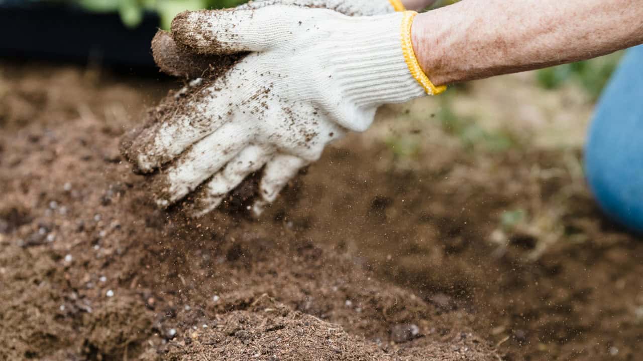 Greta Hoffman/Pexels