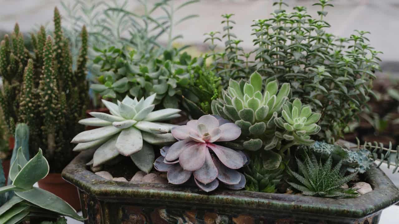 Tima Miroshnichenko/Pexels