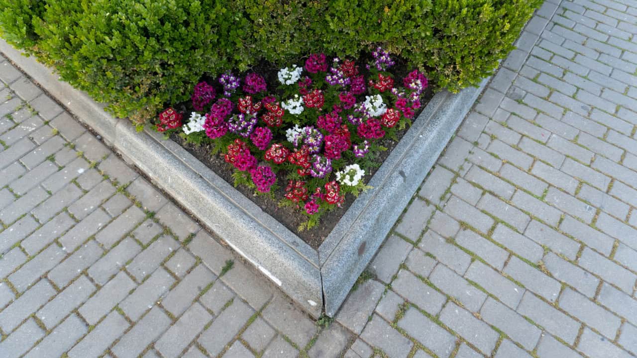 zulfugarkarimov/Unsplash