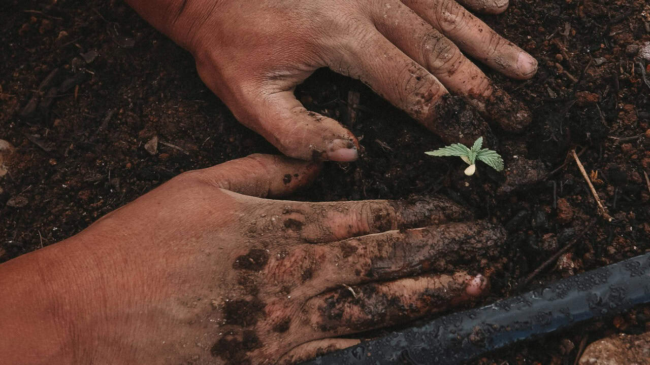 greenforce_staffing/Unsplash