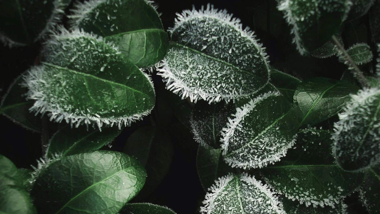Eugene Golovesov/Pexels