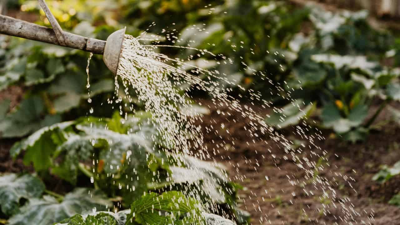 Photo By: Kaboompics.com/Pexels