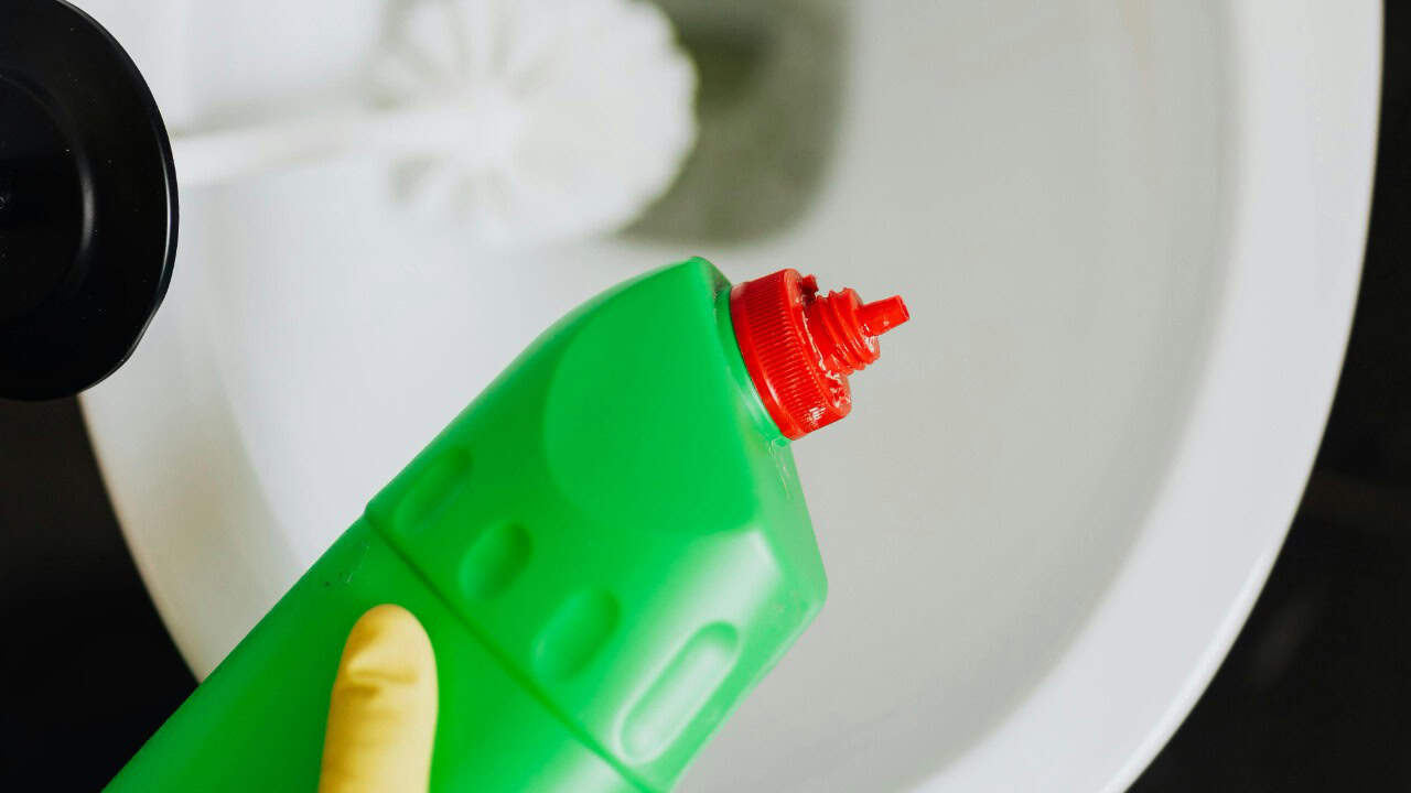 Photo By: Kaboompics.com/Pexels