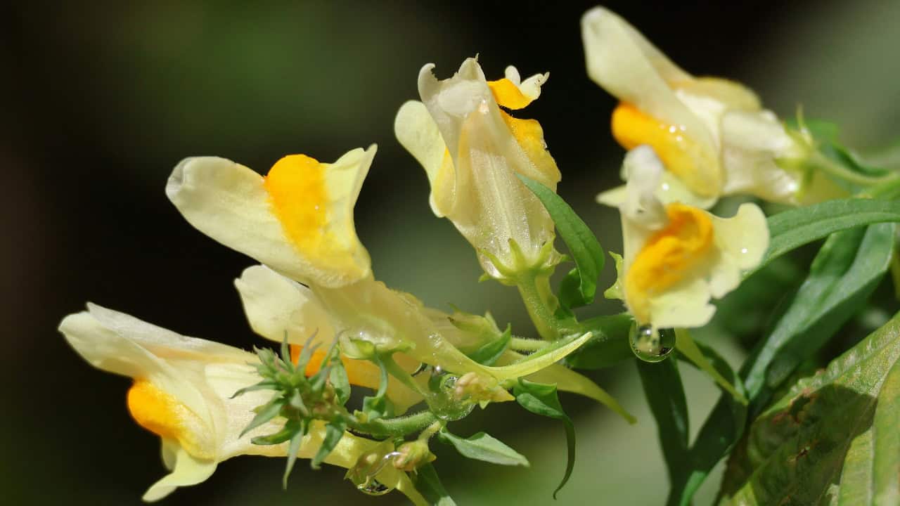 shooter__andy/Unsplash