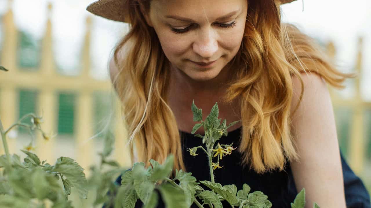 Anastasia Shuraeva/Pexels