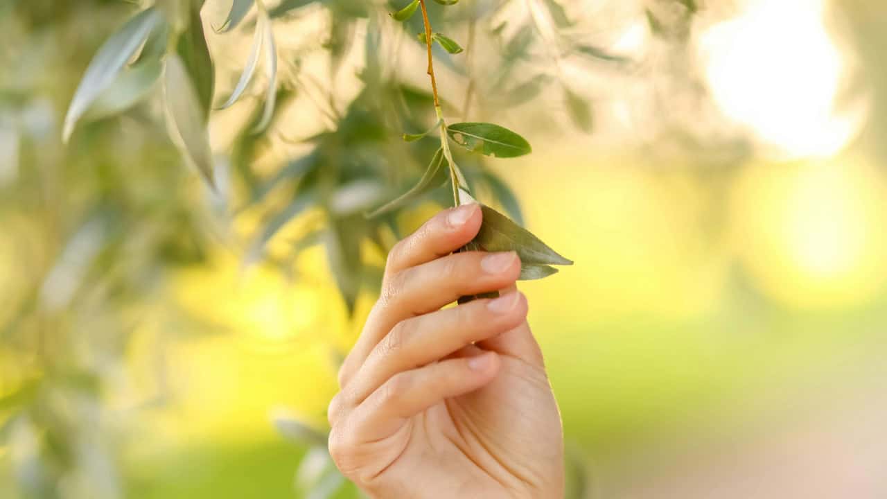 Valeria Boltneva/Pexels