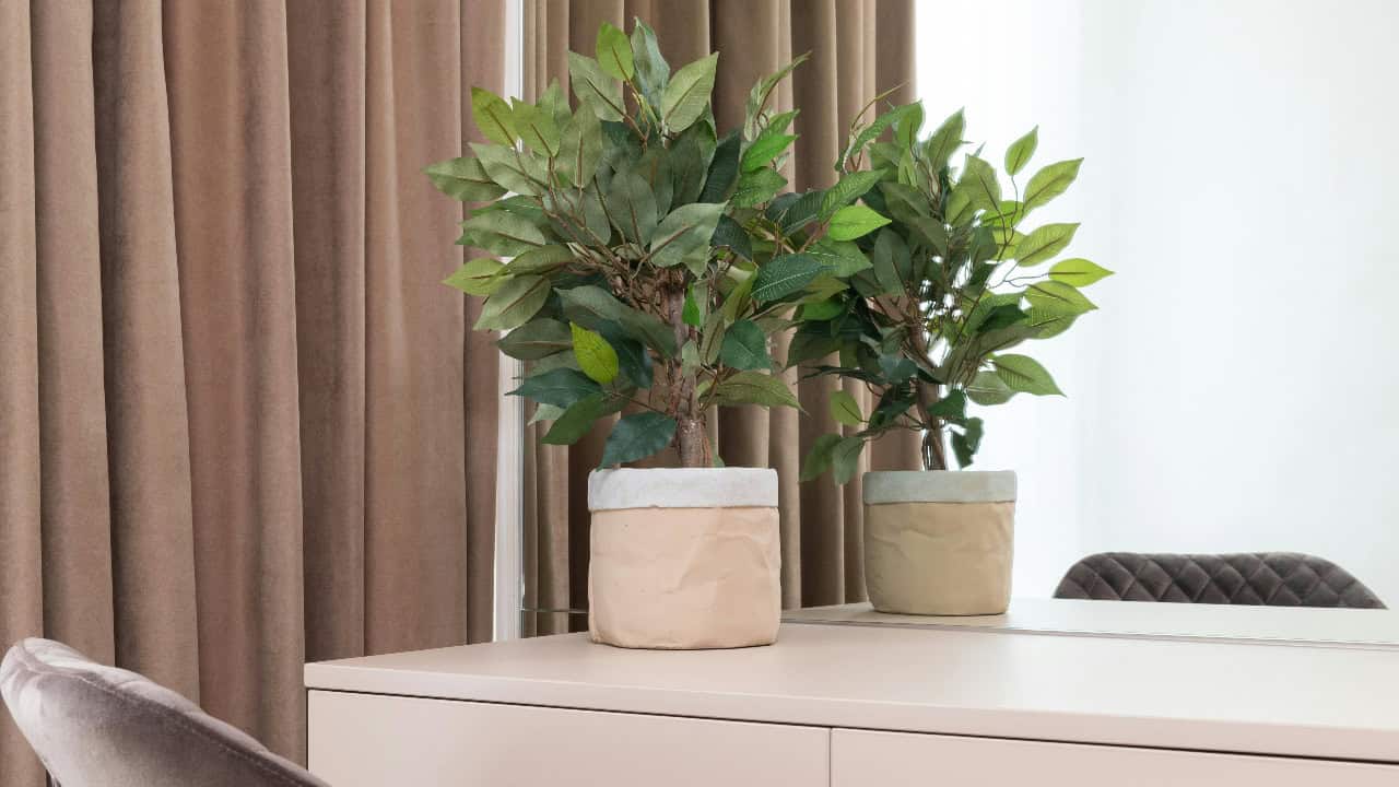 Max Vakhtbovycn/Pexels