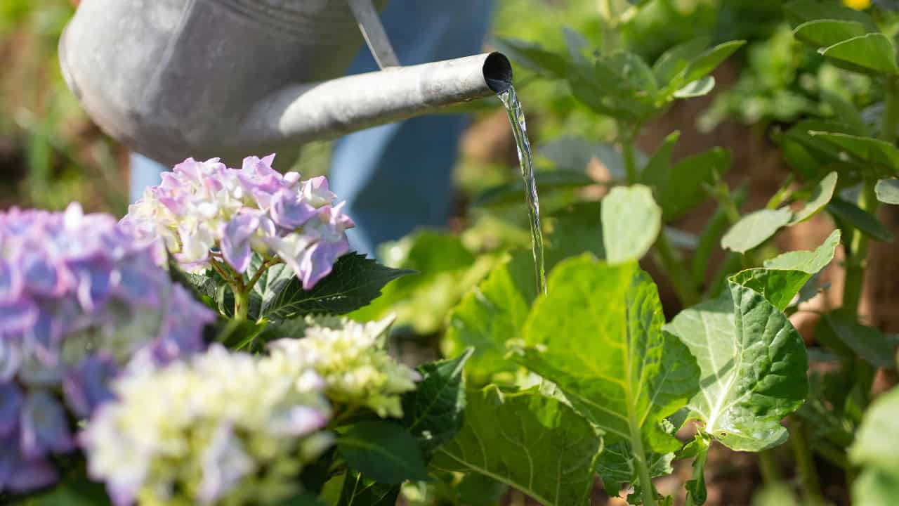 Kampus Production/Pexels