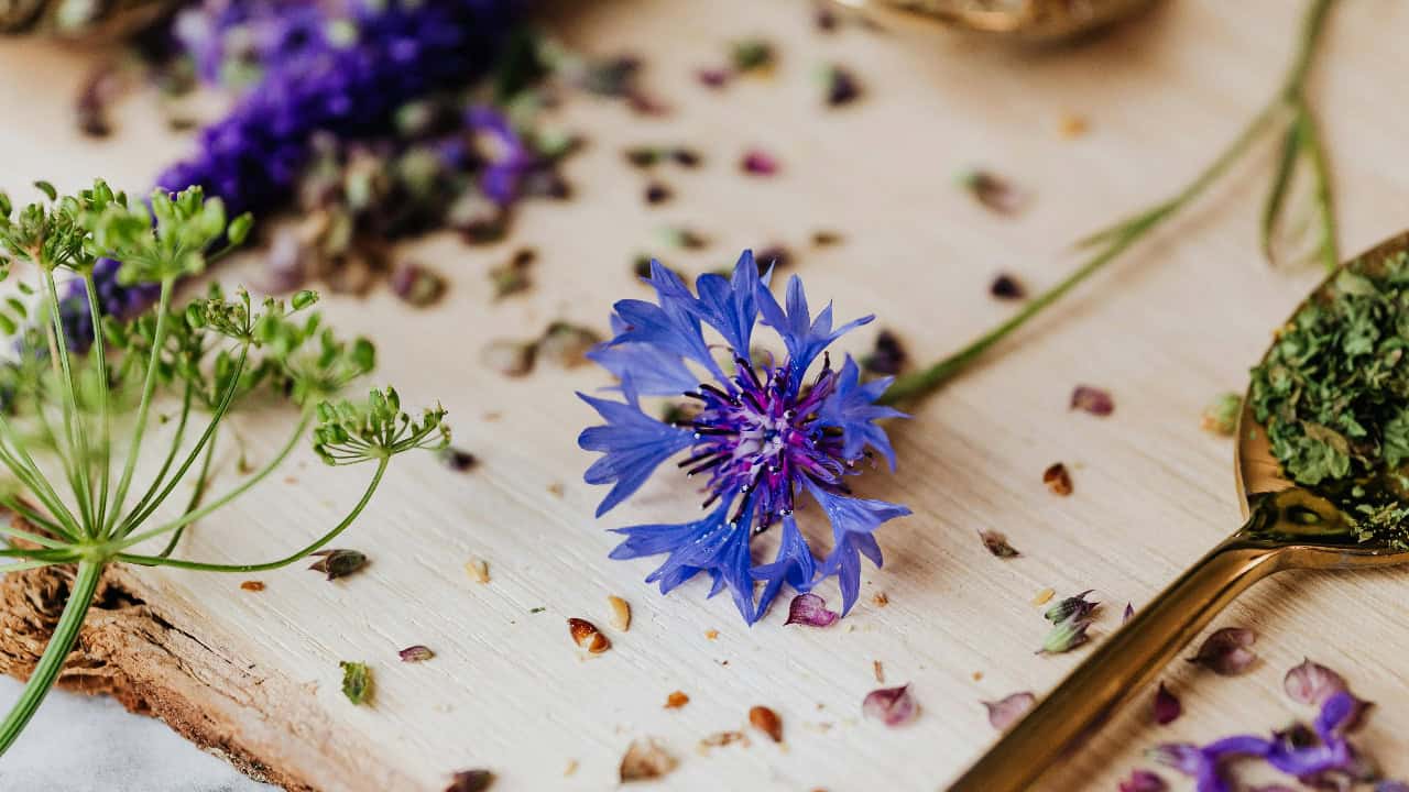 Photo By: Kaboompics.com/Pexels