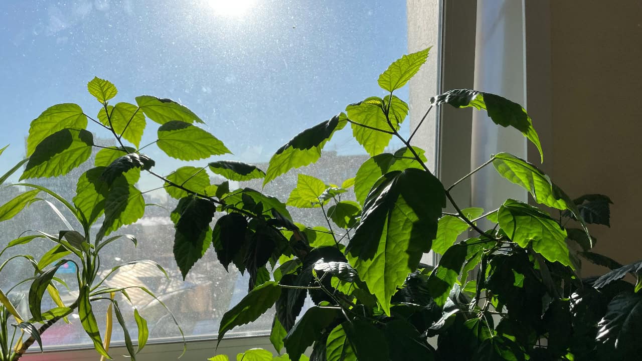 pavel_seleznev/Unsplash