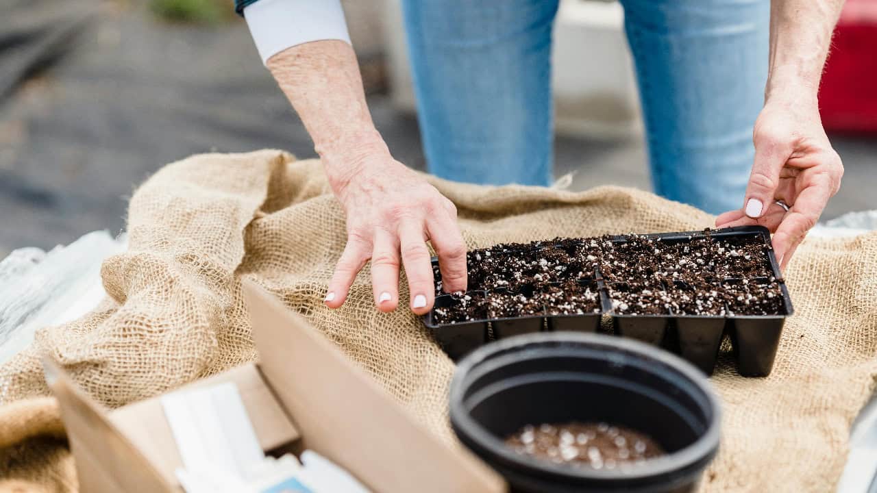 Greta Hoffman/Pexels