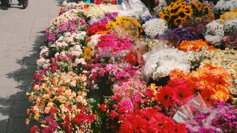 winatristiana/Unsplash