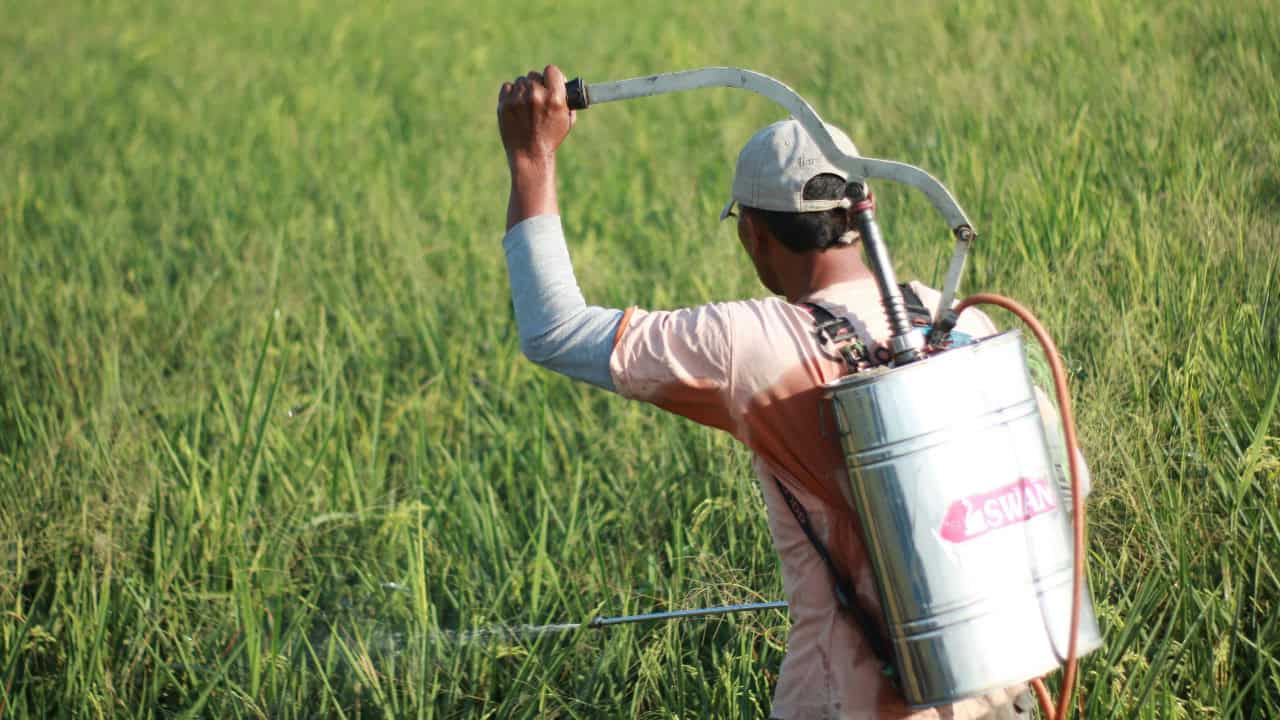 Rosyid Arifin/Pexels