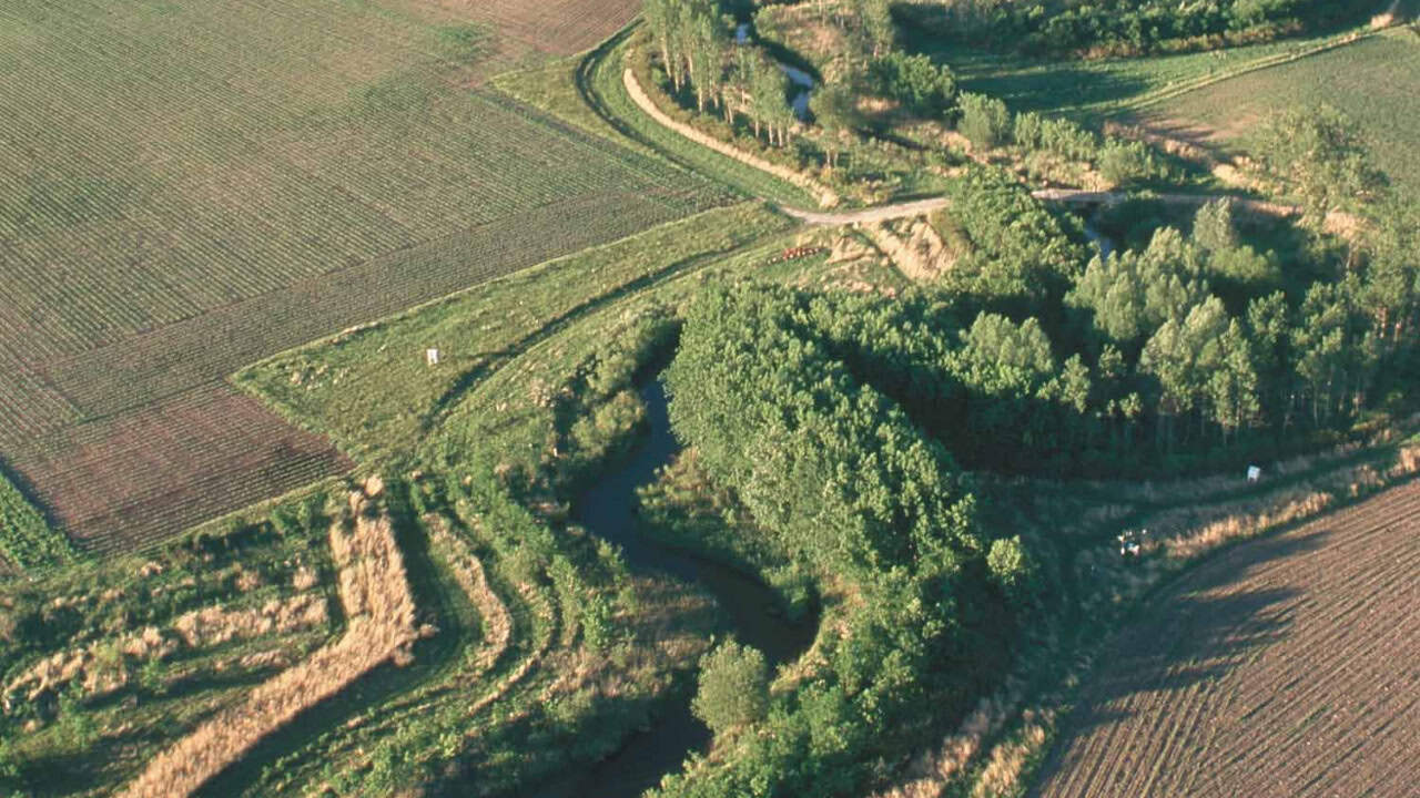 Image Credit: USDA - Public domain/Wiki Commons