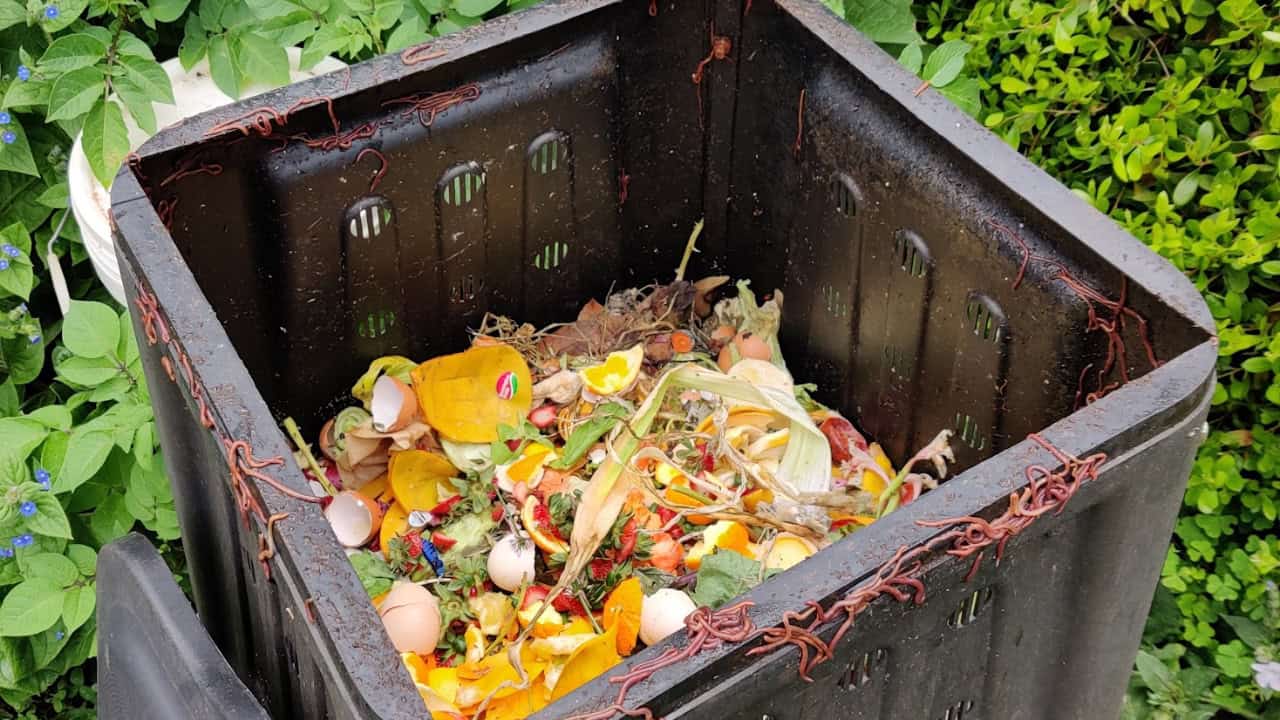 Image Credit: Niwrat - CC BY-SA 4.0/Wiki Commons