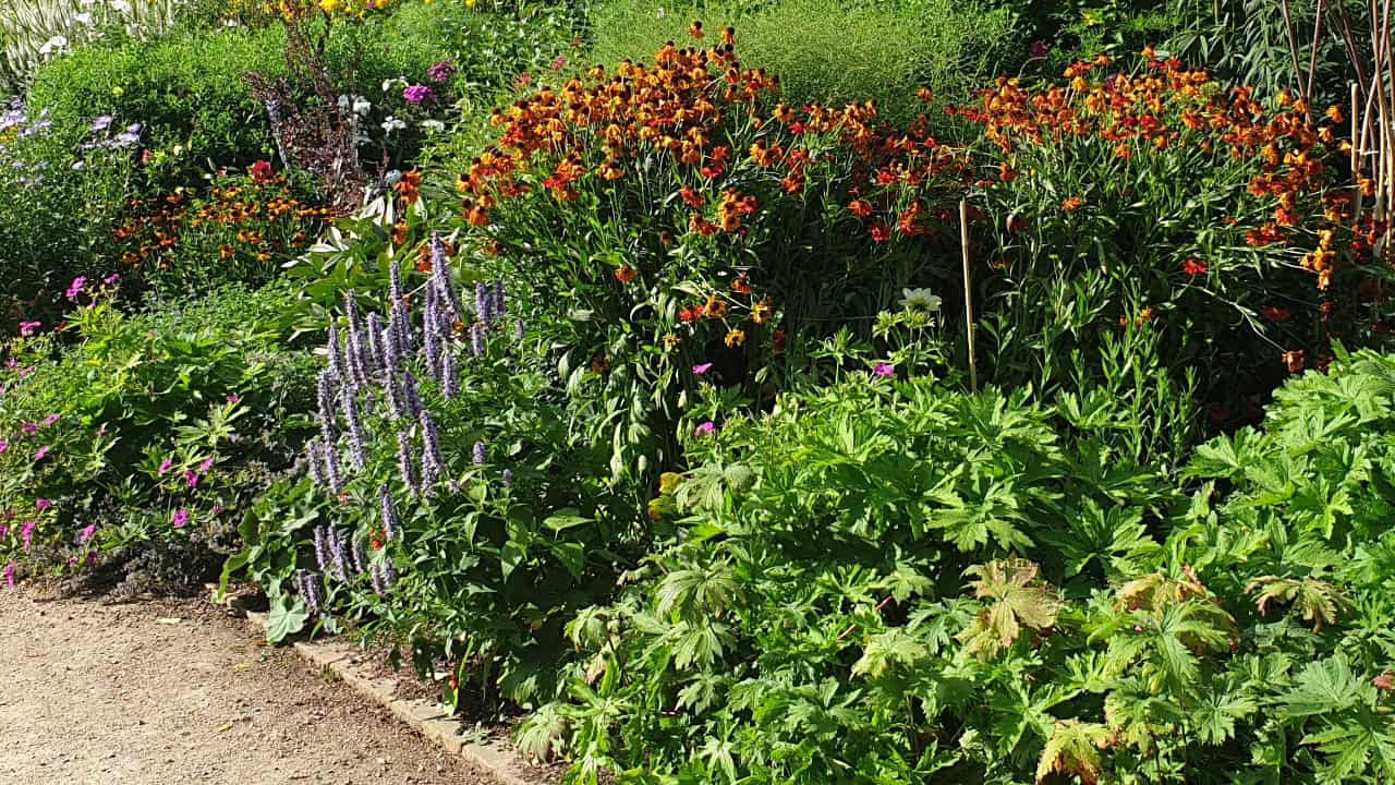 Image Credit: BVBurton - CC BY-SA 4.0/Wiki Commons