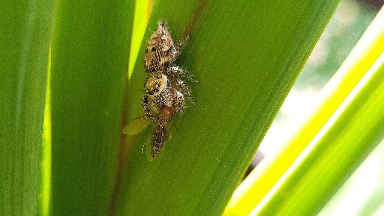 ganeshpartheeban/Unsplash