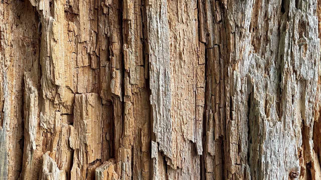 jorgencarling/Unsplash