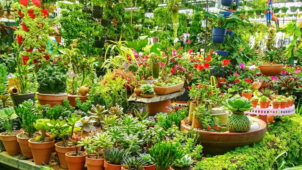 lauracordido/Unsplash