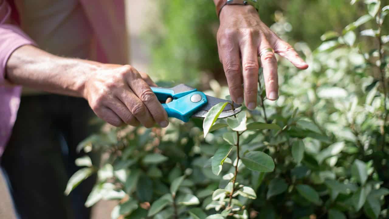 Kampus Production/Pexels