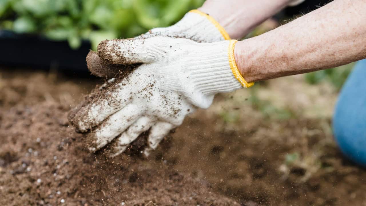 Greta Hoffman/Pexels