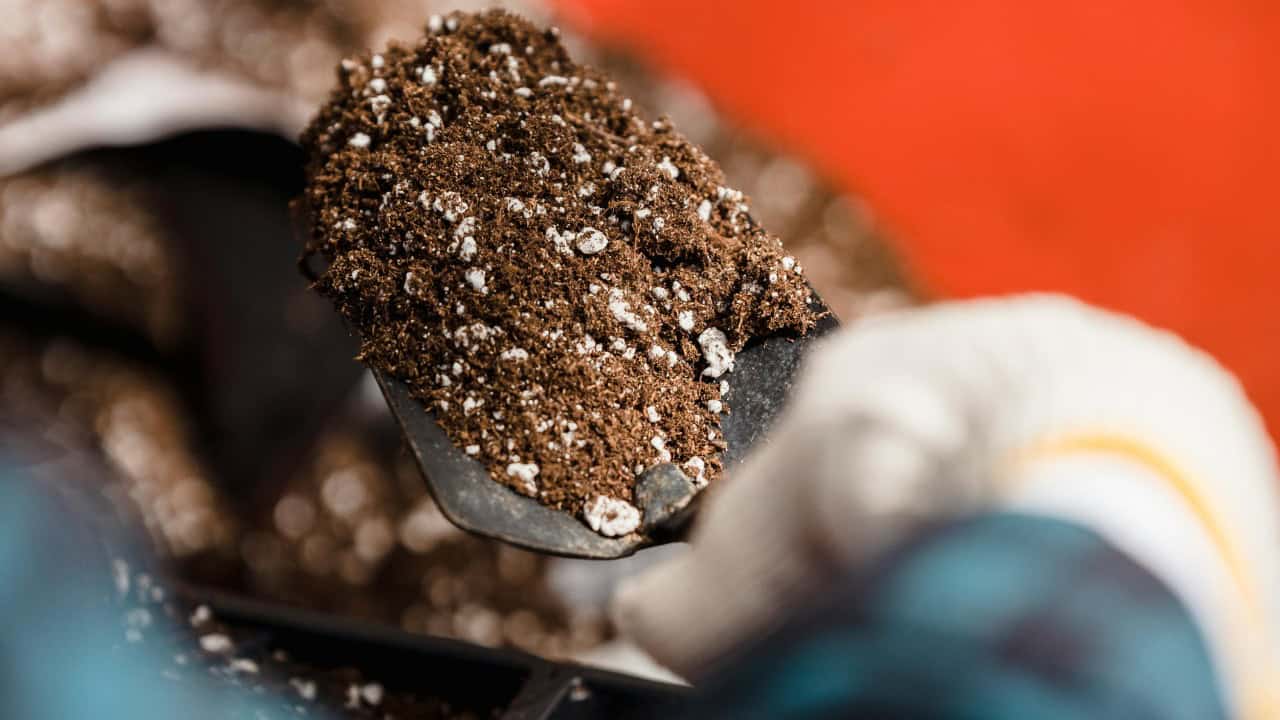 Greta Hoffman/Pexels