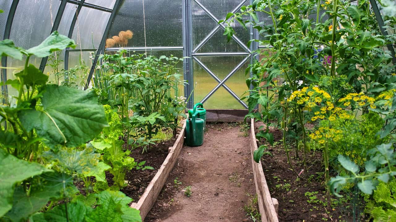 andruslukas/Unsplash