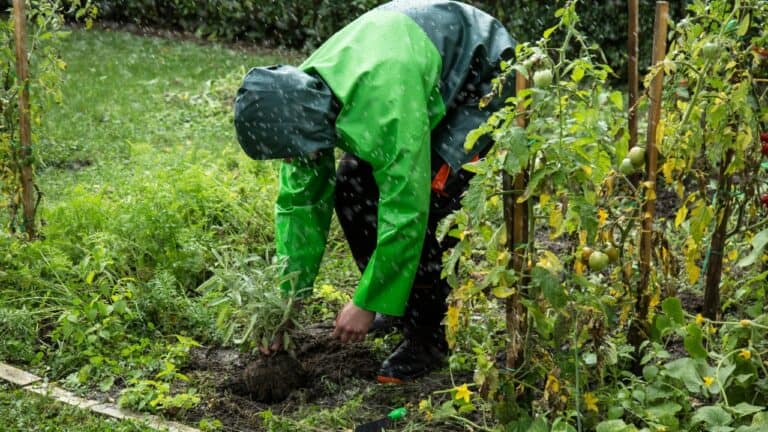 Marianna Zuzanna/Pexels