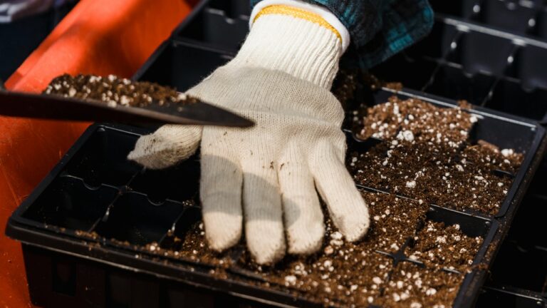 Greta Hoffman/Pexels