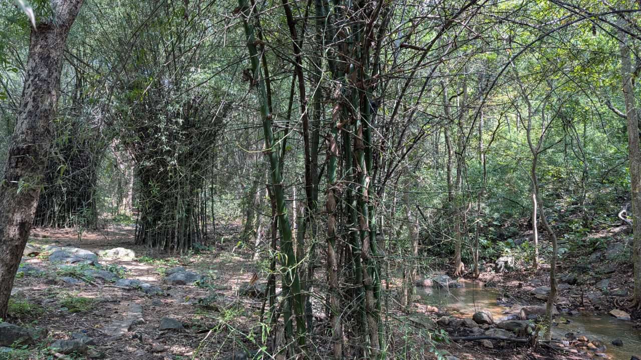 Image Credit: Anonymous0006 - CC0/Wiki Commons