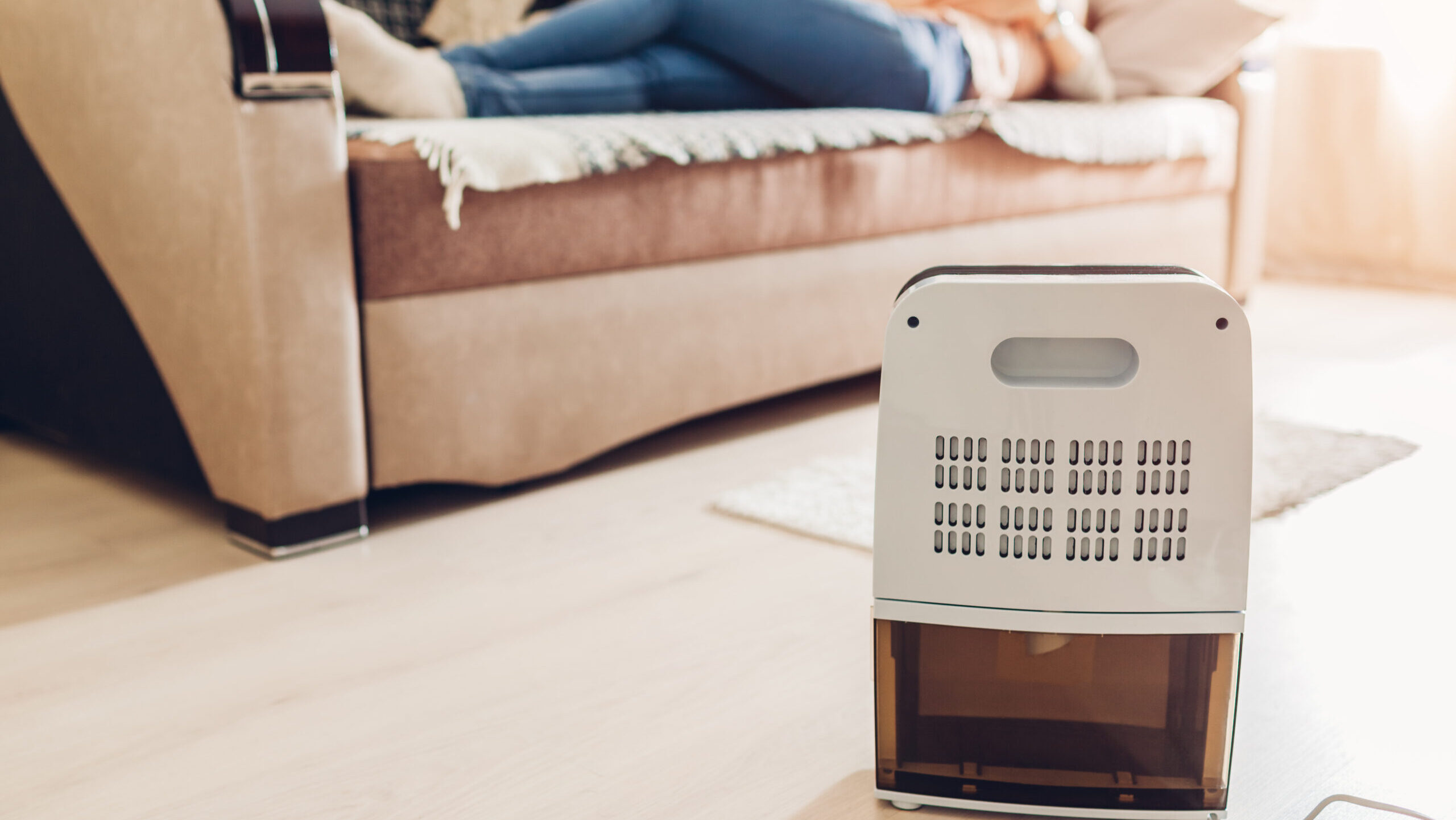 Dehumidifier with touch panel, humidity indicator, uv lamp, air ionizer, water container works in apartment while people relaxing. Modern devices against dampness