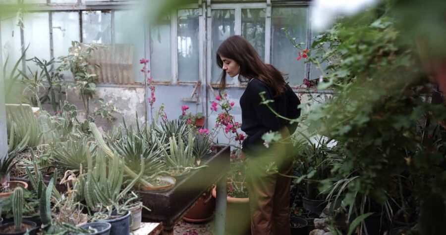 A Woman Looking the Plants