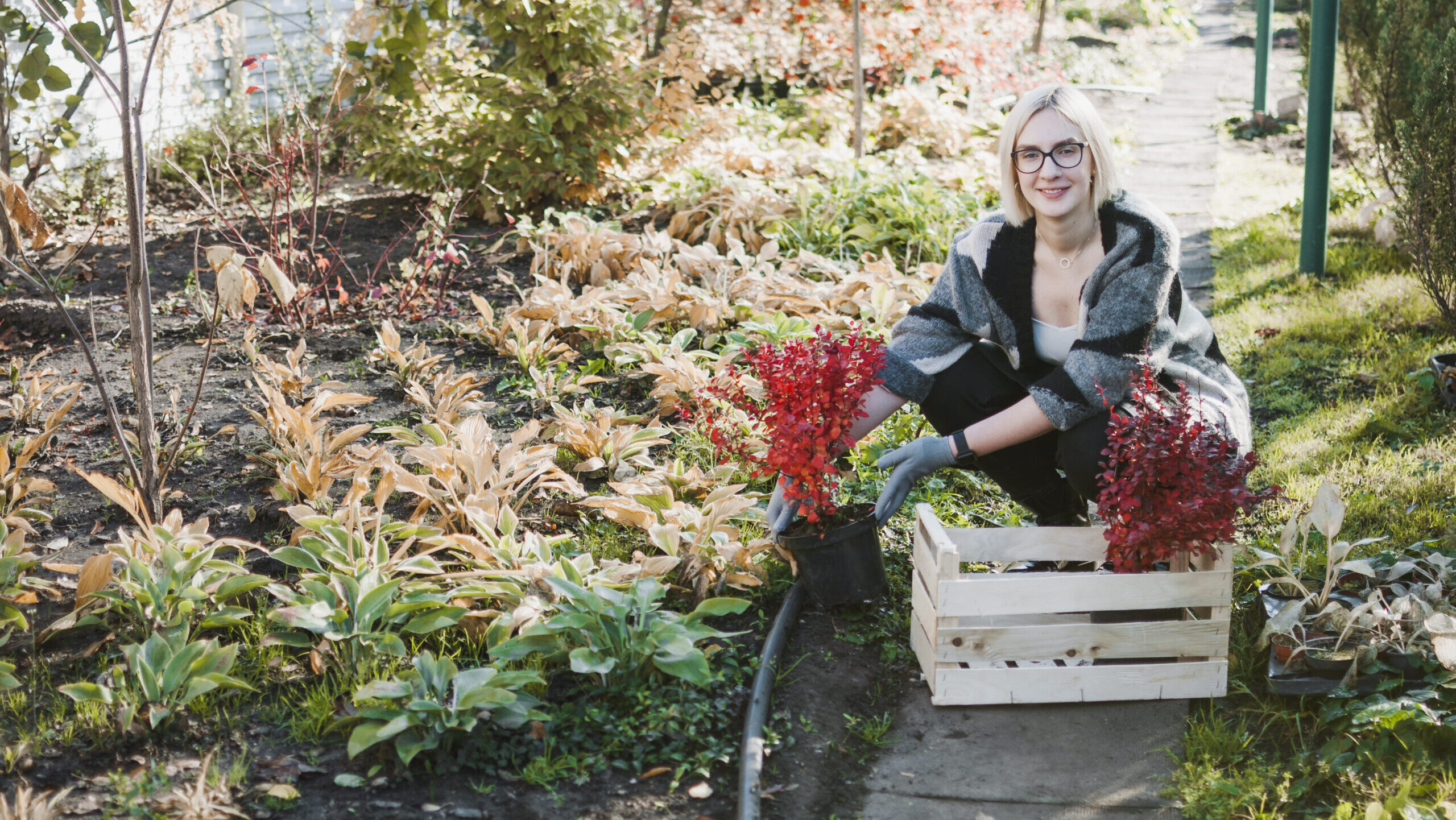 woman planting mixed plants