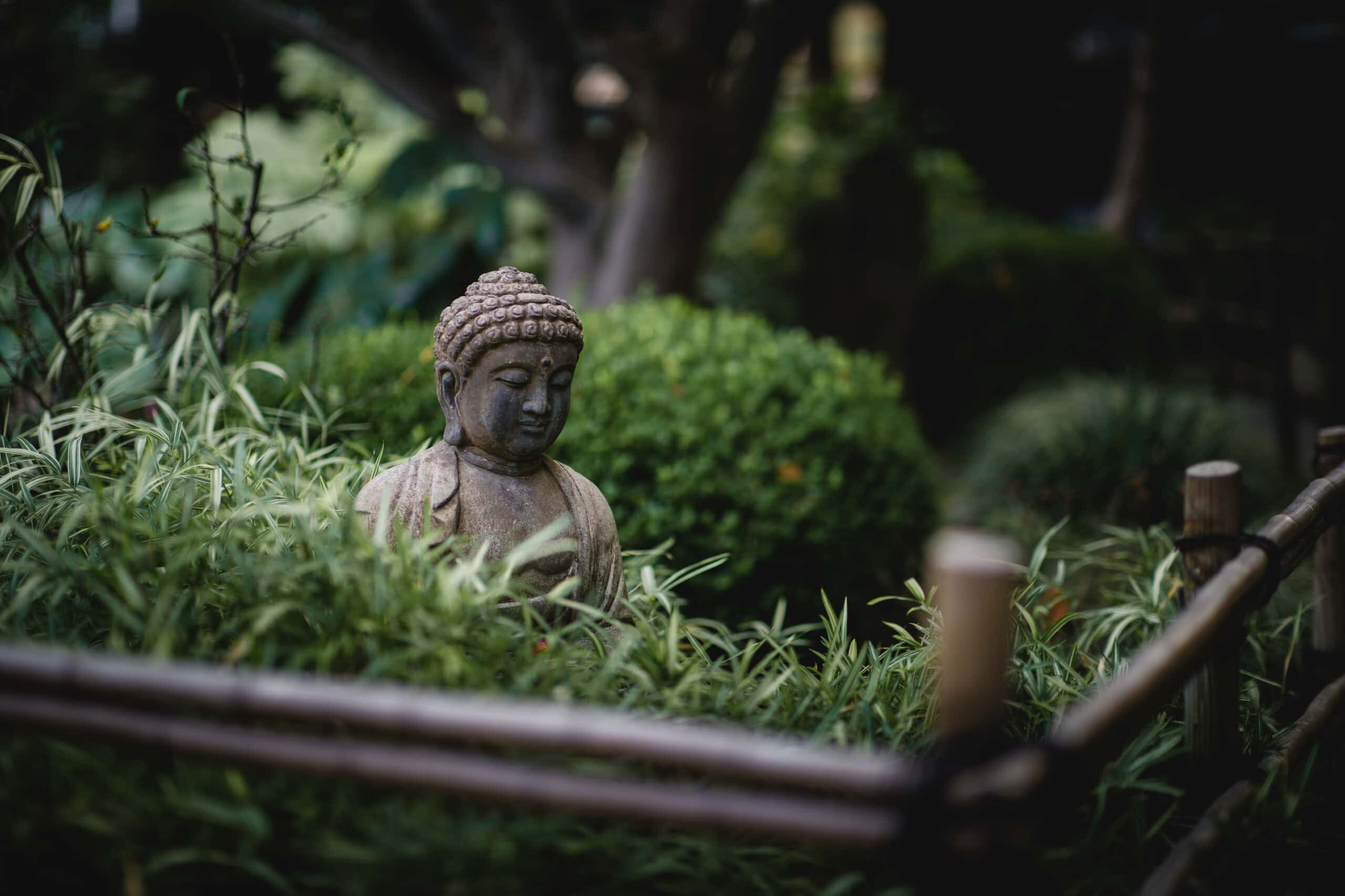 gray Buddha near statue near green plants describing zen garden