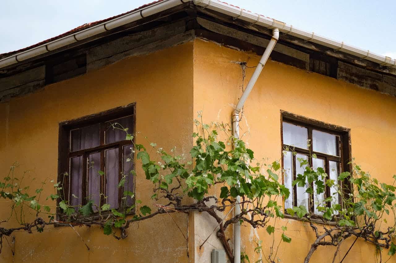 Charming Rustic House with Climbing Vines