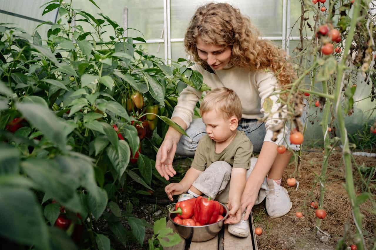 Mother and Son Collecting Vegetables in a Greenhouse